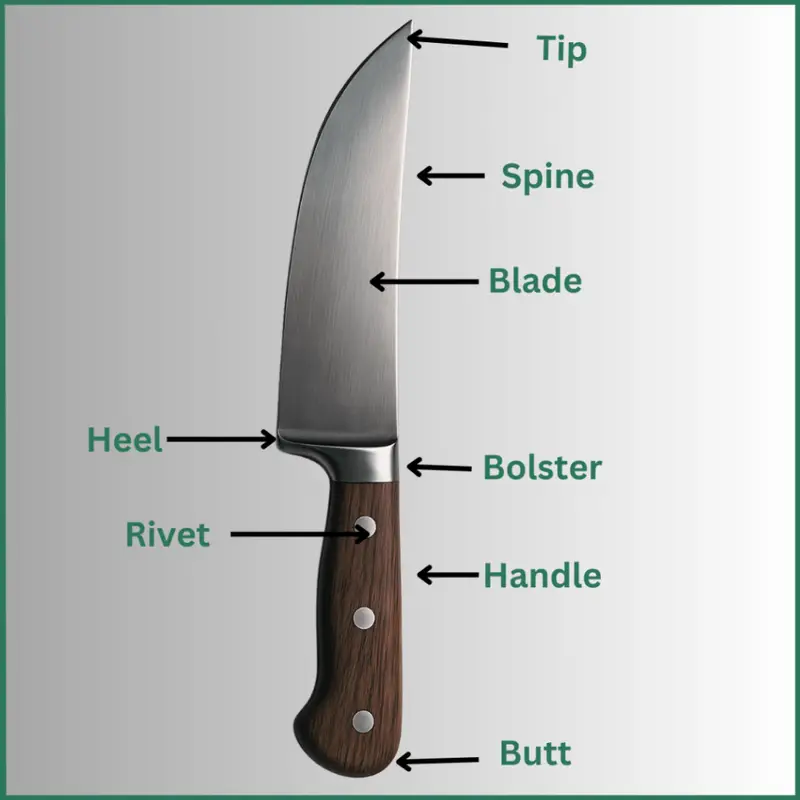 Anatomy of Butcher Knife