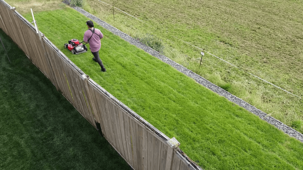 lawn mower with mulching blade person using lawn mower with mulching blade